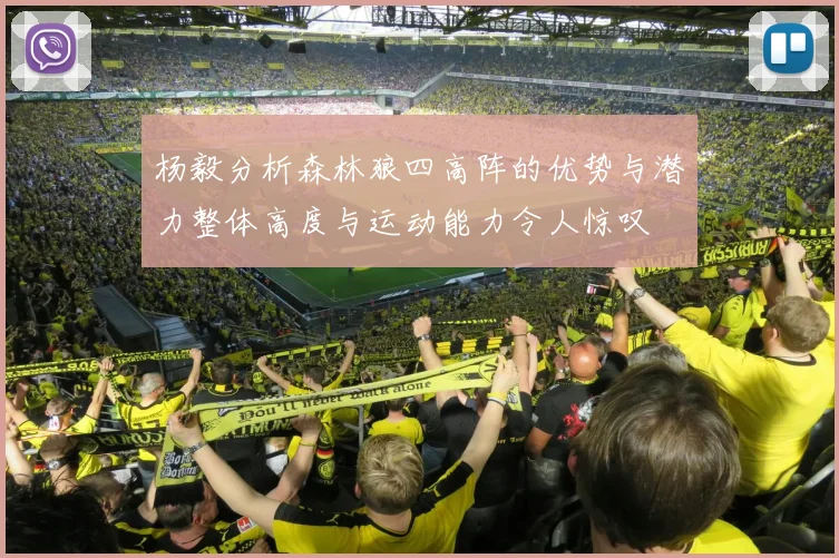 杨毅分析森林狼四高阵的优势与潜力整体高度与运动能力令人惊叹