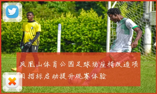 凤凰山体育公园足球场座椅改造项目招标启动提升观赛体验