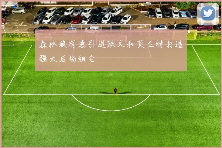 森林狼有意引进欧文和莫兰特打造强大后场组合